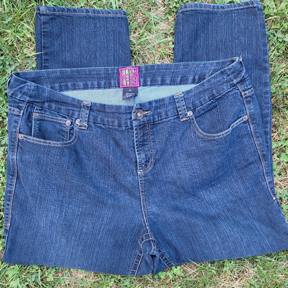 Torrid Size 24 Jeans Super Cute! - Picture 2 of 5